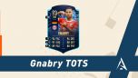 fifa 23 solution dce gnabry tots mini
