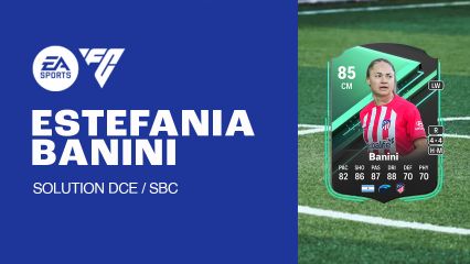 fc 24 solution dce banini mini