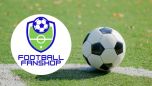 football fanshop mini art fwa