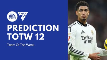 fc 25 prediction totw 12 mini