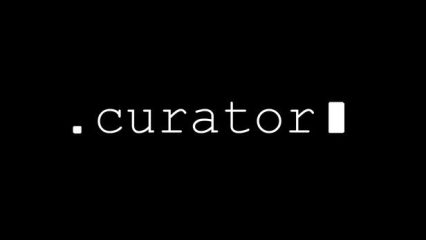 curator steam capsule